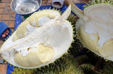 Màu sắc không bắt mắt